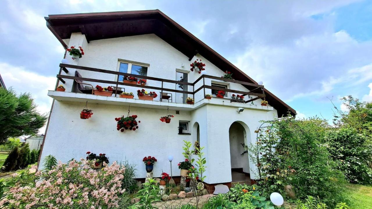 Agroturystyka Pod Kogutem Zamość Exterior foto