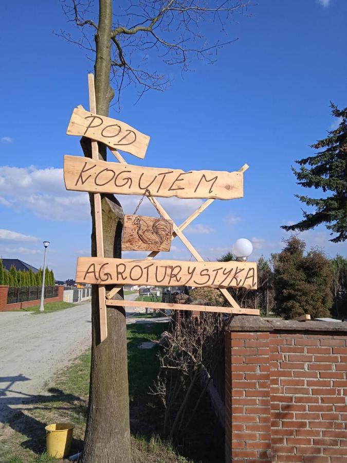 Agroturystyka Pod Kogutem Zamość Exterior foto