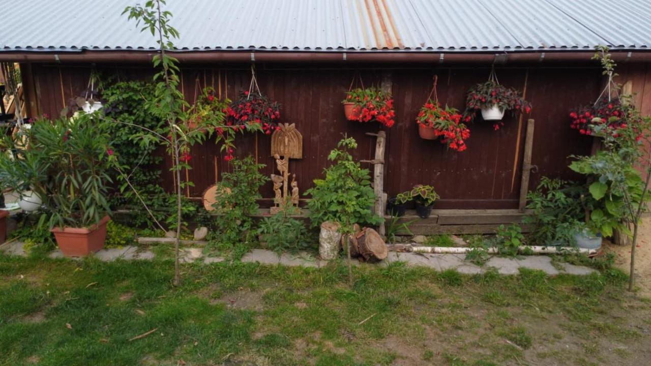 Agroturystyka Pod Kogutem Zamość Exterior foto