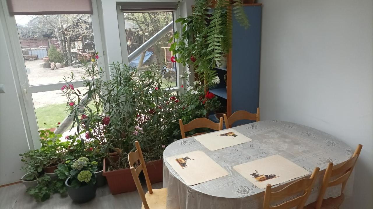 Agroturystyka Pod Kogutem Zamość Exterior foto